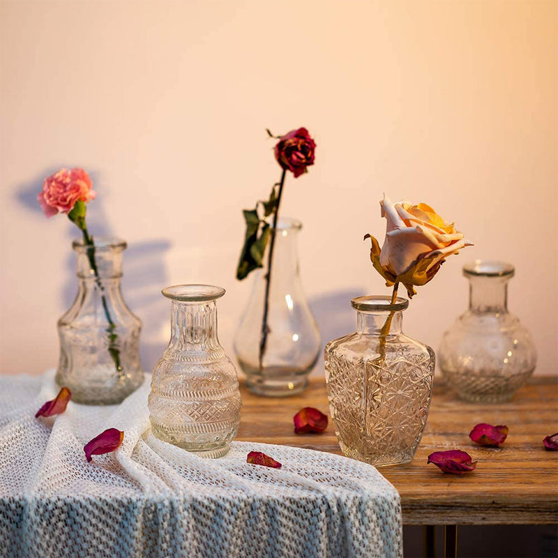Glass Bud Vase Set of 5, Decorative Rustic Vases Embossed for Home Decor