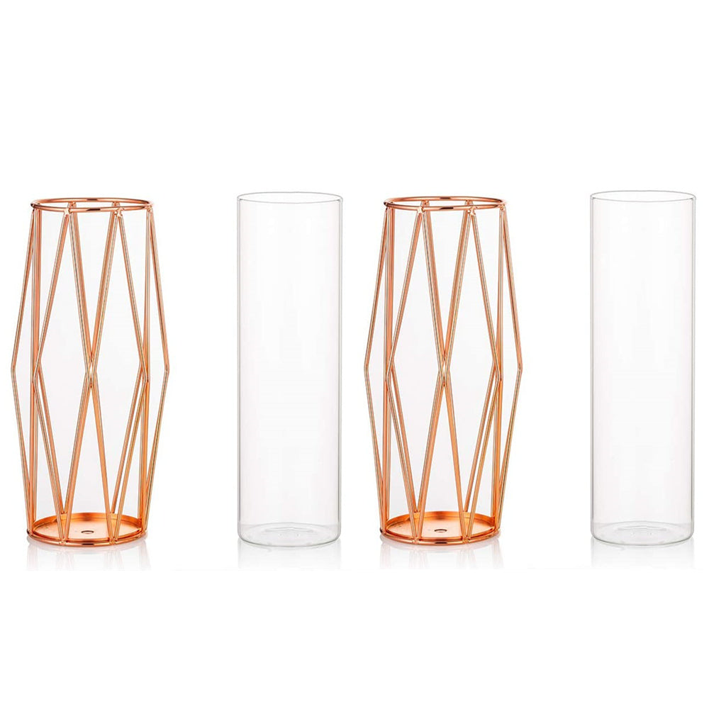 Geometric Clear Metal Flowers Vase Set of 2 Decorative Glass Vase with Metal Wire