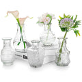 Glass Bud Vase Set of 5, Decorative Rustic Vases Embossed for Home Decor