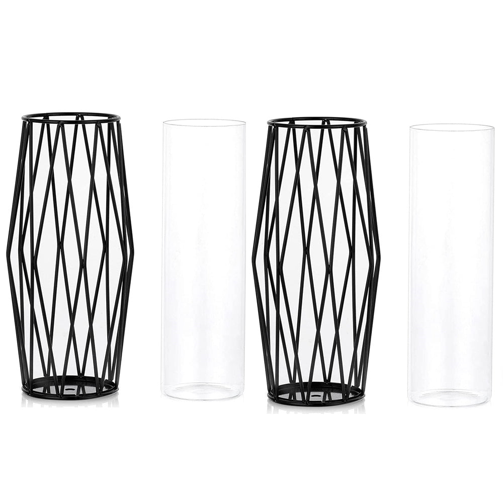 Geometric Clear Metal Flowers Vase Set of 2 Decorative Glass Vase with Metal Wire