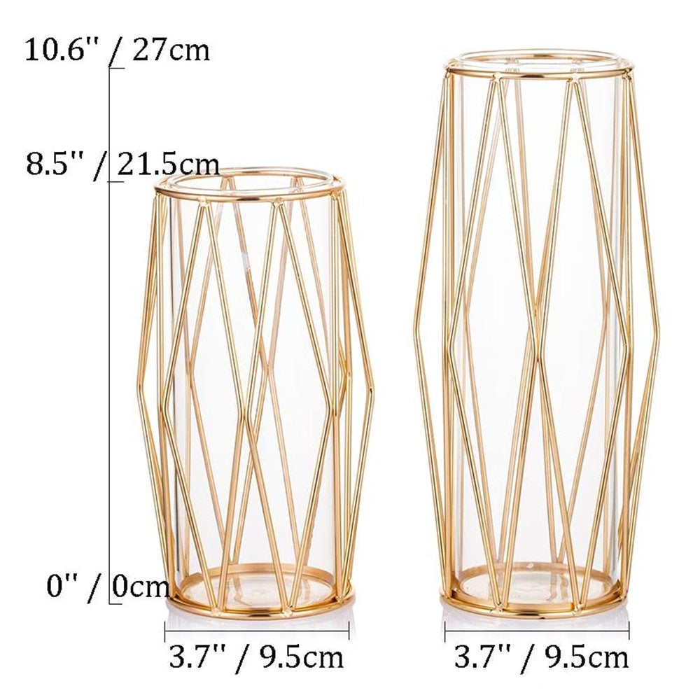 Geometric Clear Metal Flowers Vase Set of 2 Decorative Glass Vase with Metal Wire