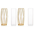 Geometric Clear Metal Flowers Vase Set of 2 Decorative Glass Vase with Metal Wire