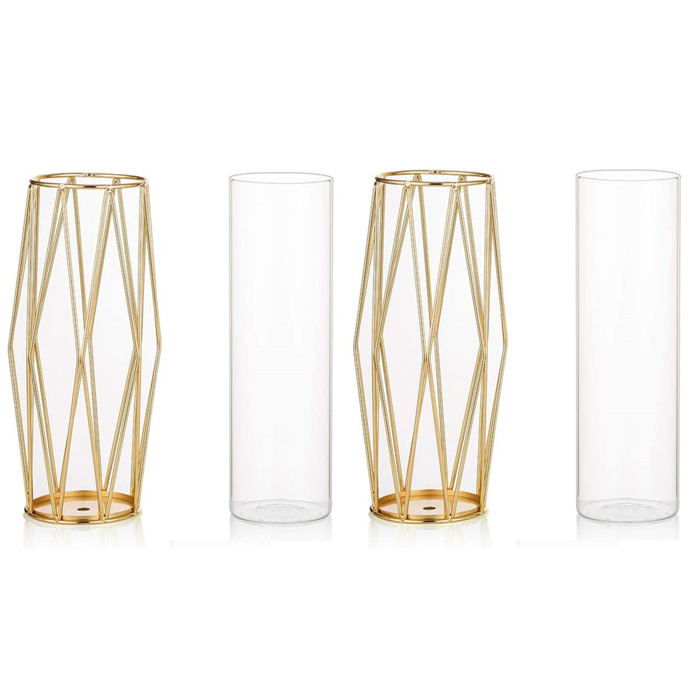 Geometric Clear Metal Flowers Vase Set of 2 Decorative Glass Vase with Metal Wire