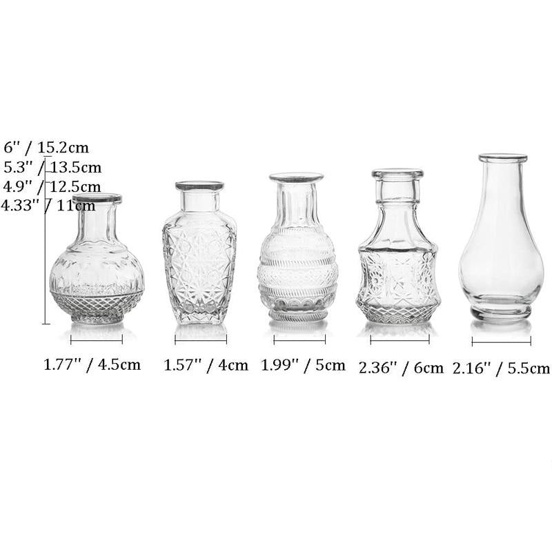 Glass Bud Vase Set of 5, Decorative Rustic Vases Embossed for Home Decor