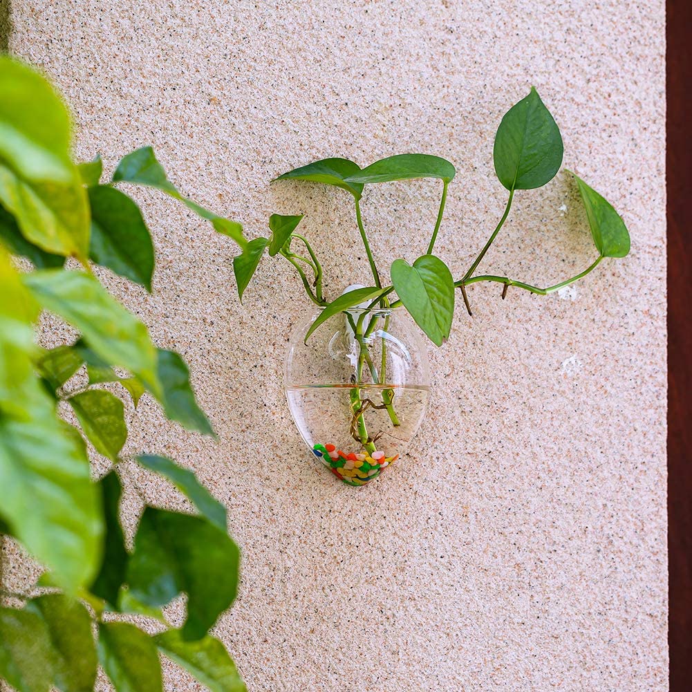 4Pcs/6Pcs Mouse Shape Plant Pots Terrarium Container Vase with Colorful Stones