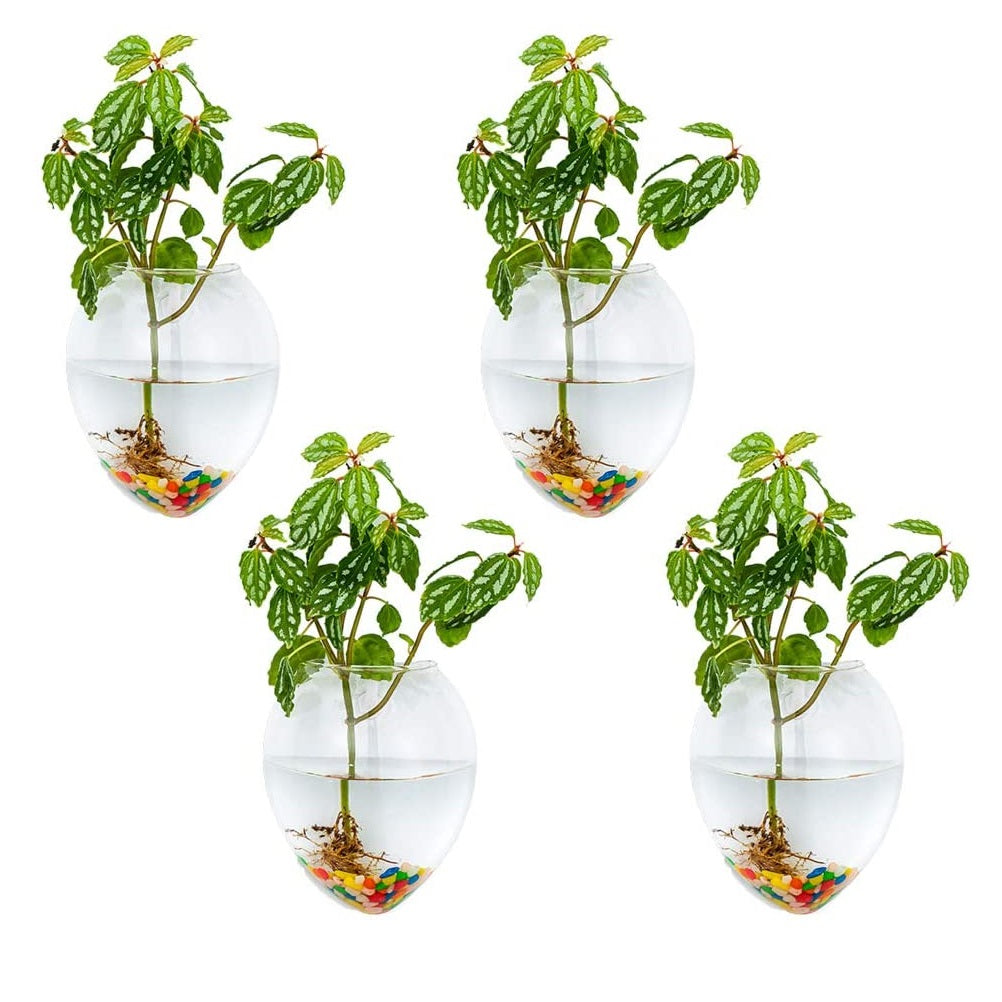 4Pcs/6Pcs Mouse Shape Plant Pots Terrarium Container Vase with Colorful Stones