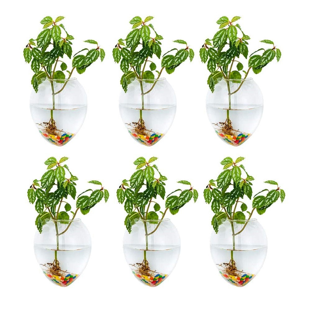 4Pcs/6Pcs Mouse Shape Plant Pots Terrarium Container Vase with Colorful Stones